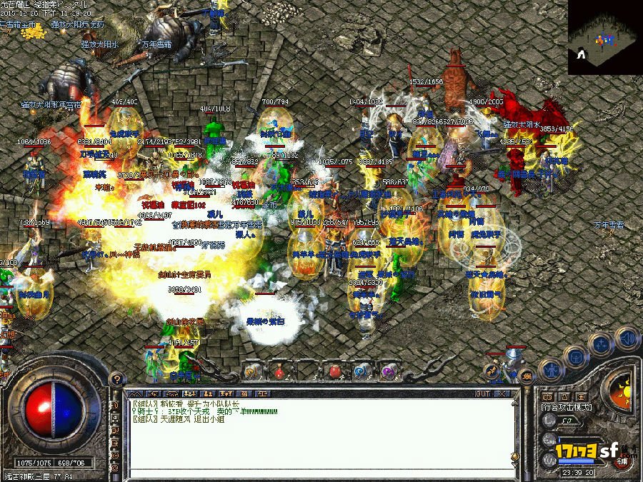 11.jpg
